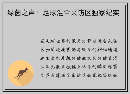绿茵之声：足球混合采访区独家纪实