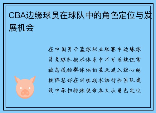 CBA边缘球员在球队中的角色定位与发展机会